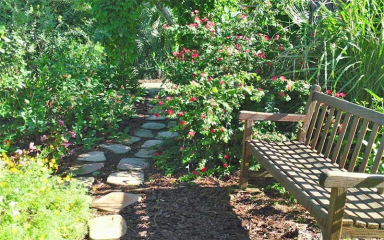 garden path with stone pavers and park bench at mounts botanical garden west palm beach