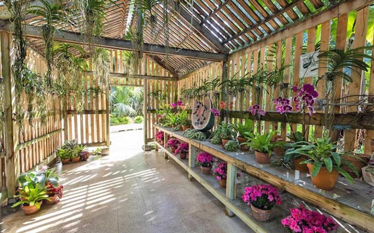garden shed interior with hanging plants and flowers at ann norton sculpture gardens west palm beach