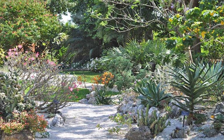 garden with white sand path and native plants and trees at mounts botanical garden west palm beach