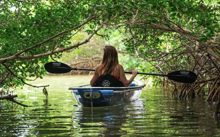girl paddling clear kayak through mangrove at get up and go kayaking tampa