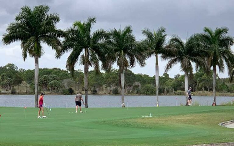 golfers on course with palms and lake behind at okeeheelee park west palm beach