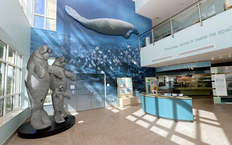 interior of lobby with manatee statues and windows at manatee lagoon west palm beach