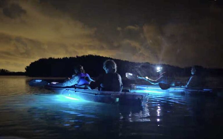 kayakers with blue lighting on night tour at get up and go kayaking tampa