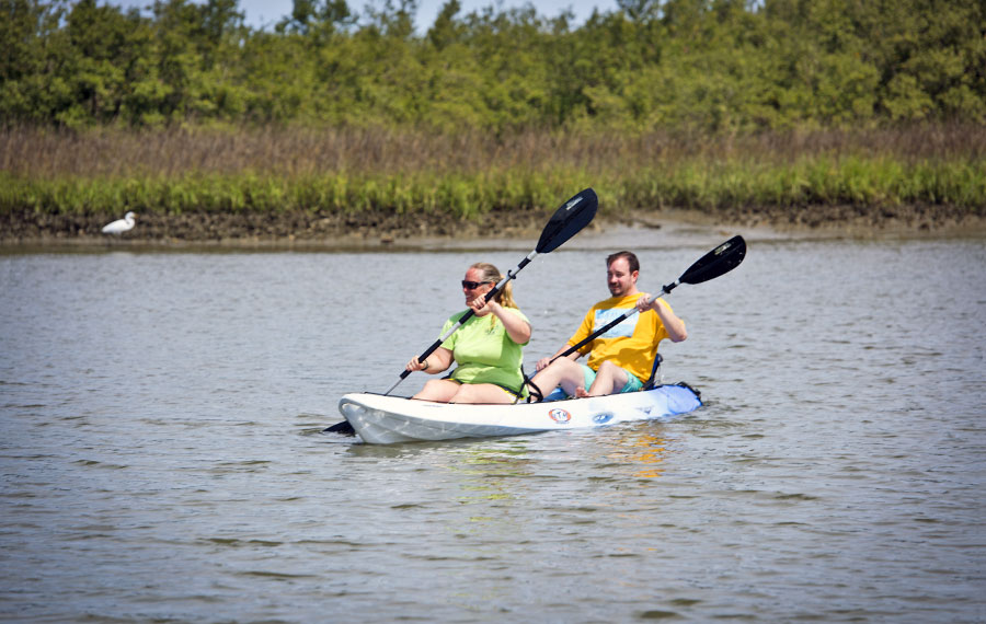 man and woman paddling in kayak on inlet with heron on shoreline at anastasia state park st augustine