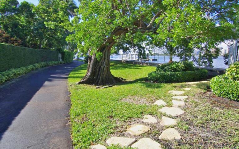 paved walkway with stone pavers trees and view of water at palm beach lake trail west palm beach