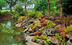 pond with lily pads and stones and succulents along bank with chairs at mounts botanical garden west palm beach