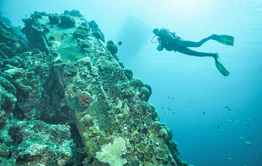 scuba diver exploring underwater shipwreck with coral and fish key largo