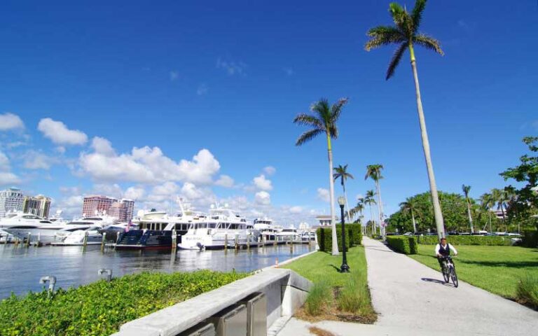sidewalk with biker and palms and marina with yachts at palm beach lake trail west palm beach
