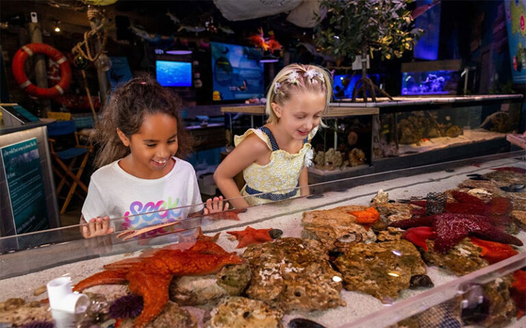 two girls looking at marine biology exhibits at mertailors mermaid aquarium encounter lecanto