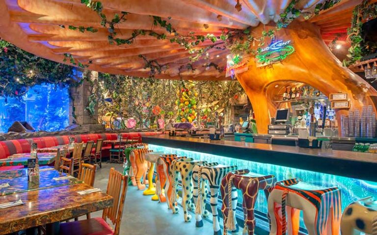 bar area with giant mushroom at rainforest cafe disney animal kingdom