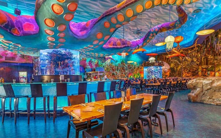 bar area with giant octopus ceiling at t rex cafe disney springs orlando