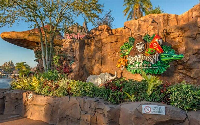 daytime restaurant exterior with sign at rainforest cafe disney springs orlando