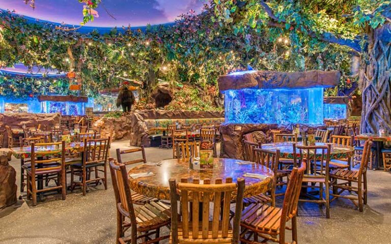 dining area with aquariums at rainforest cafe disney springs