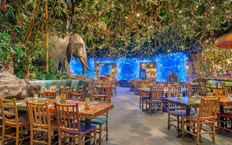 dining area with elephant at rainforest cafe disney animal kingdom