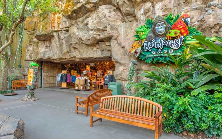 exterior front entrance at rainforest cafe disney animal kingdom