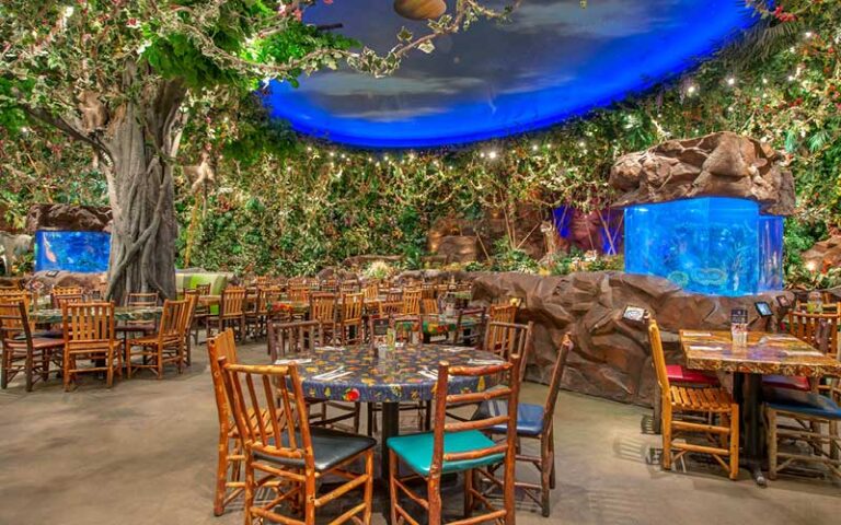 interior dining area with tree and aquarium at rainforest cafe disney animal kingdom