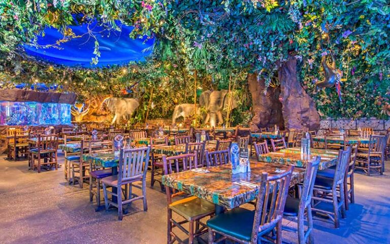 interior dining room with tree at rainforest cafe disney springs
