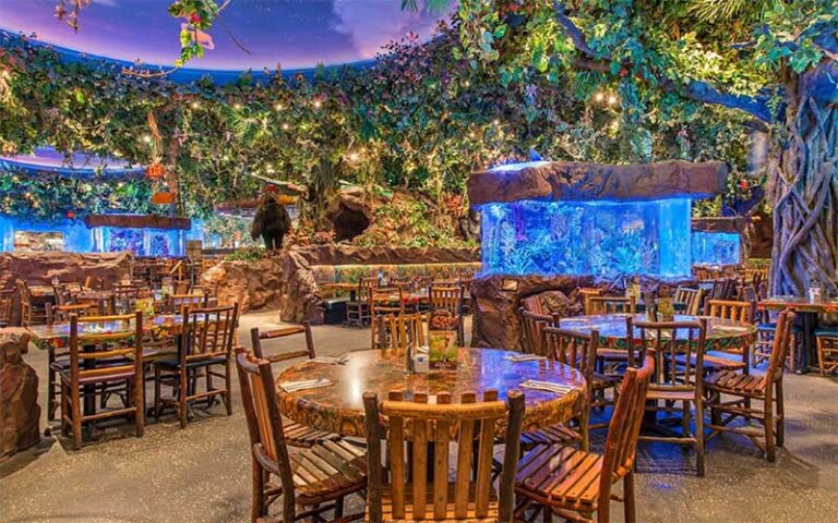 jungle themed dining room with flora rustic wood furniture animals and aquarium at rainforest cafe disney springs orlando