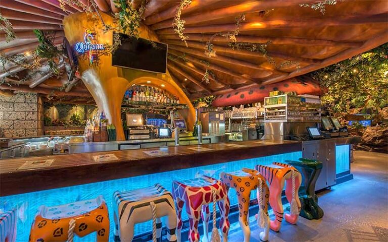 mushroom ceiling bar with animal stools at rainforest cafe disney springs orlando