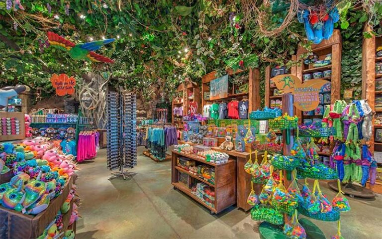 store with souvenirs and jungle items at rainforest cafe disney springs orlando