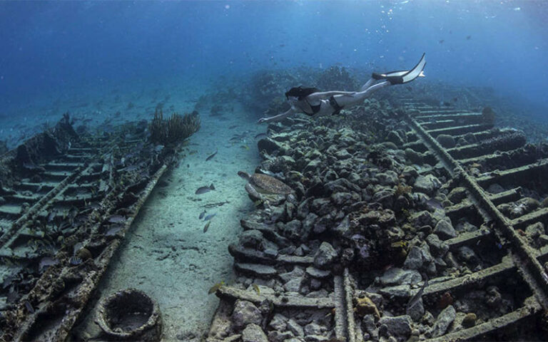 woman scuba diver swimming above shipwreck at dolphin dream team west palm beach