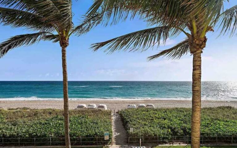 beach access path with ocean shrubs and palm trees at the ambassador palm beach hotel residences