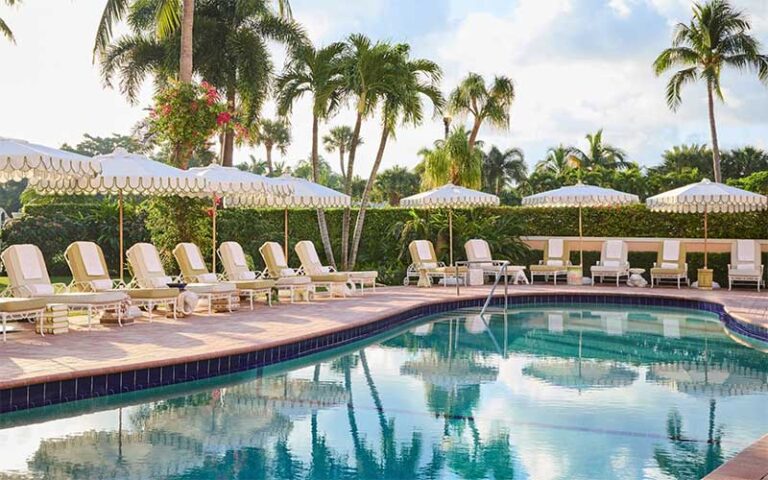 curved pool with padded lounge chairs at the colony palm beach