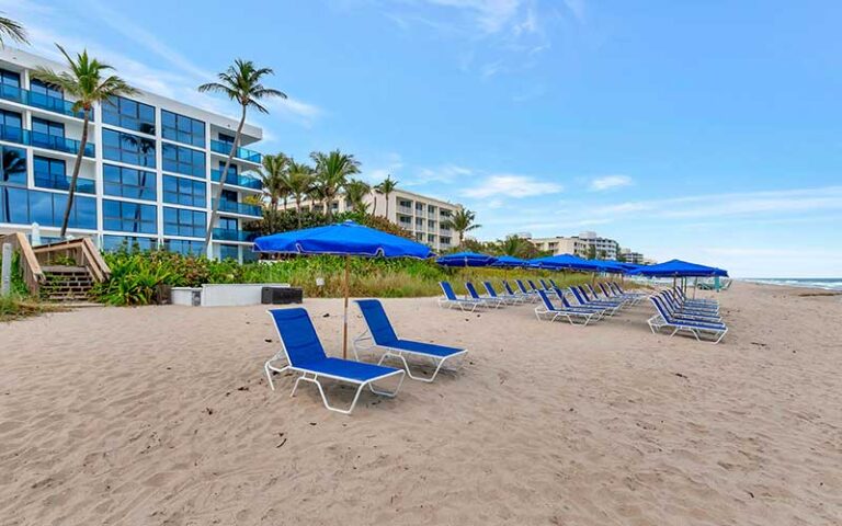 daytime beach access with loungers and hotel at tideline palm beach ocean resort spa