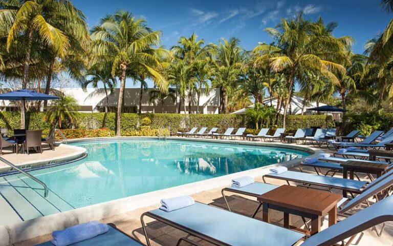 daytime pool area with lounge chairs and palm trees at west palm beach marriott