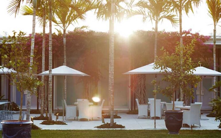 garden seating area with high hedge and sun glare at the royal poinciana plaza palm beach