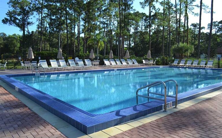 rectangular pool with lounge chairs and trees at lion country safari koa west palm beach