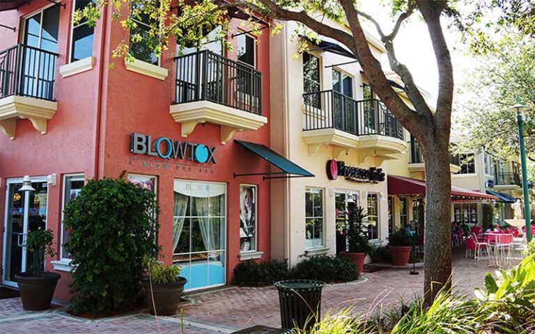 row of shops with tree at pga commons art dining district palm beach gardens