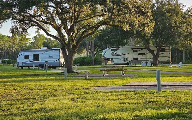 rv trailers at campsites with trees at lion country safari koa west palm beach