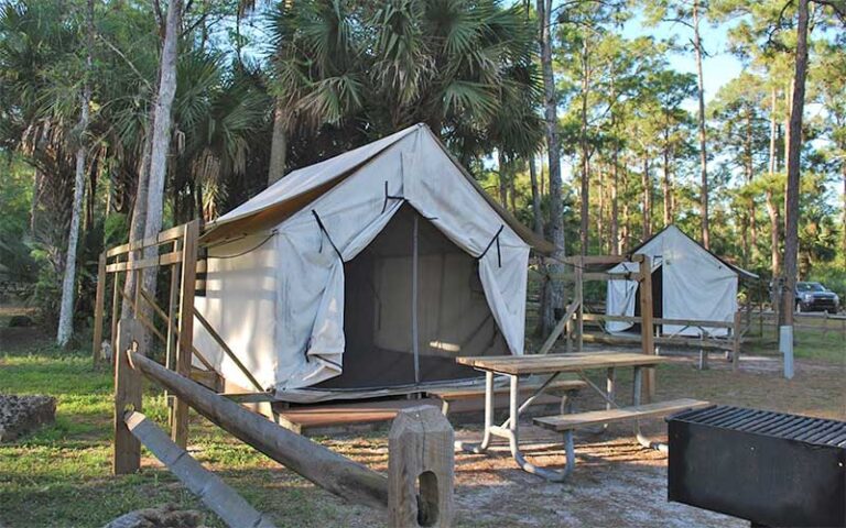 safari tents with picnic tables and grills at lion country safari koa west palm beach