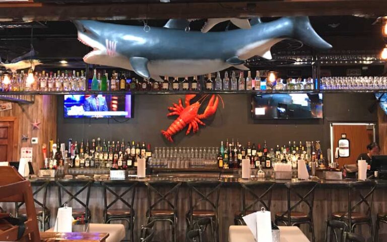 seafood themed bar with bottles and shark at mr mrs crab juicy seafood bar orlando kirkman