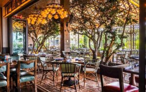 shaded patio terrace with trees and warm lighting dining area at elisabettas ristorante west palm beach