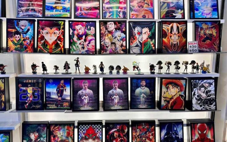shelf with rows of anime figurines and art at anime world orlando