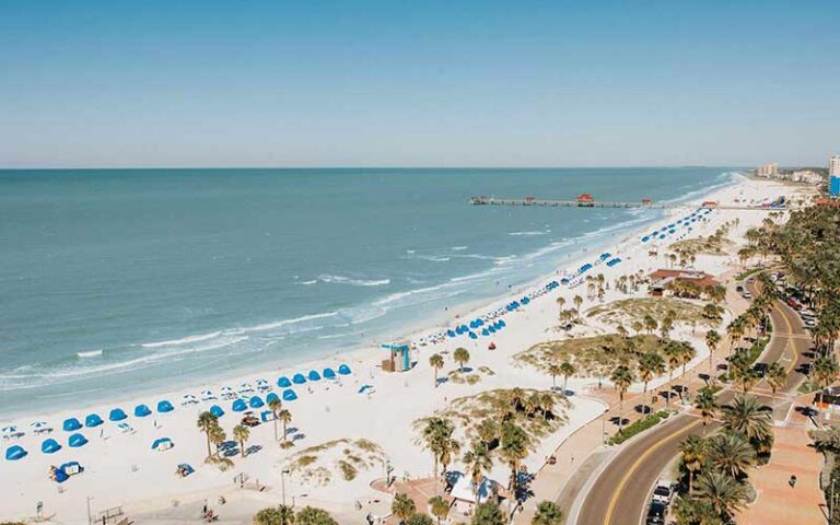 aerial view of beach with rows of loungers at opal sands resort clearwater beach