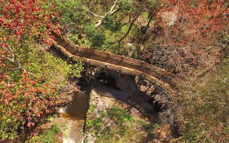 aerial view of boardwalk curving through hardwood canopy at moccasin lake nature park clearwater