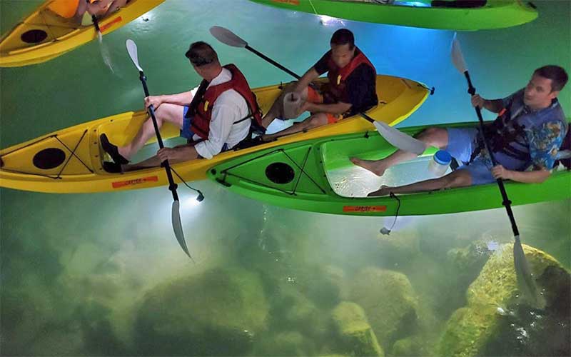 Bottom Tour Programme Sharkey's Glass Bottom Tours | Kayaking in St Pete & Sarasota