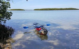 clear kayak in water near shore of inlet at see through adventures st pete