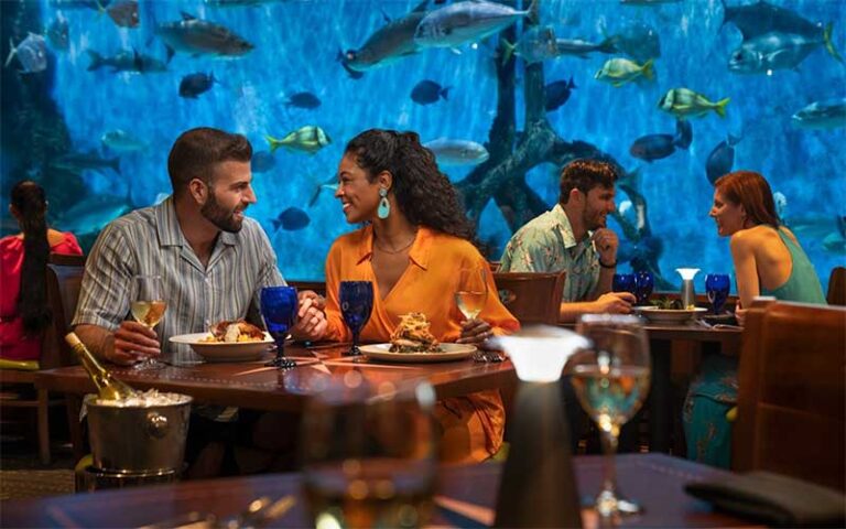 diners in restaurant with aquarium wall at rumfish beach resort st pete