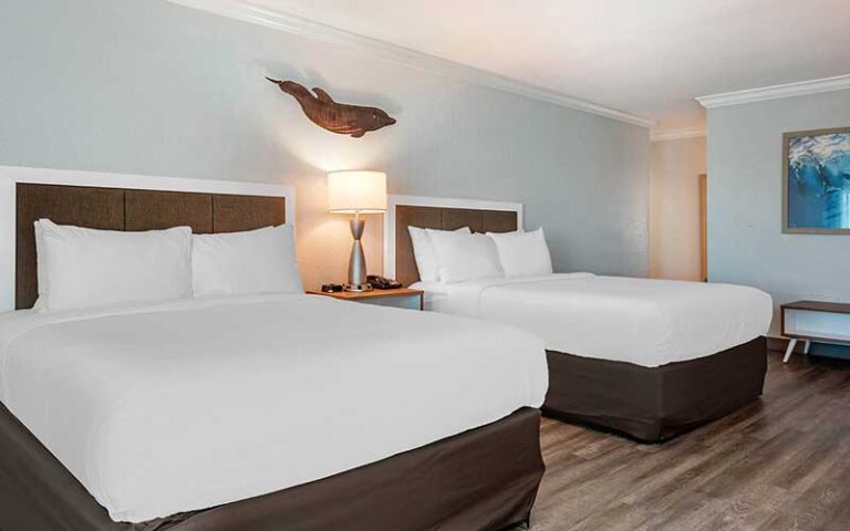double queen bed guestroom with dolphin accents at winter the dolphins beach club clearwater