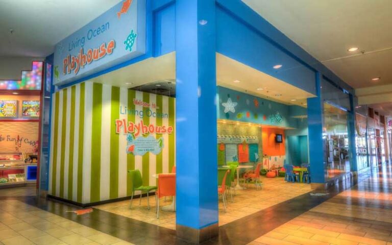 kids play area store living ocean at countryside mall clearwater