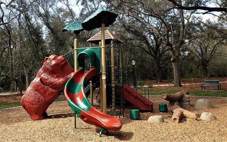 kids playground in woods with red bear slide at moccasin lake nature park clearwater