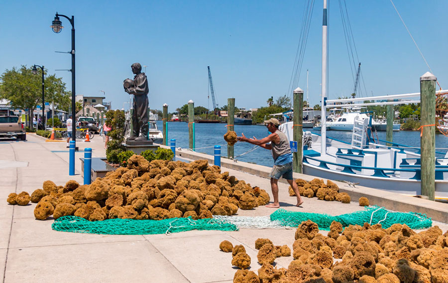 man sorting sponges on dock under clear sky with boat and statue of suited diver at tarpon springs clearwater