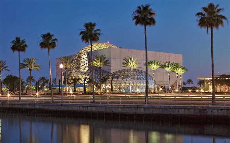 night exterior from water of museum with palm trees at salvador dali museum st pete