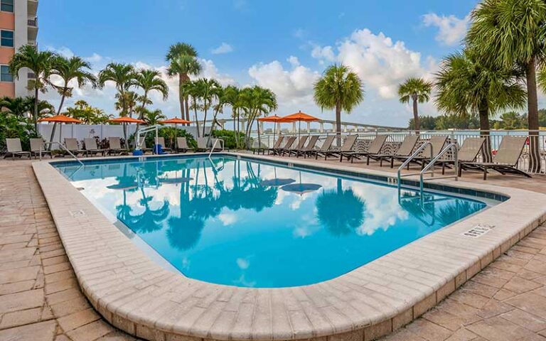pool area with palms and loungers at winter the dolphins beach club clearwater