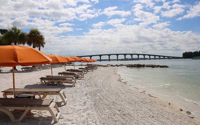 private beach area with bridge and loungers at winter the dolphins beach club clearwater