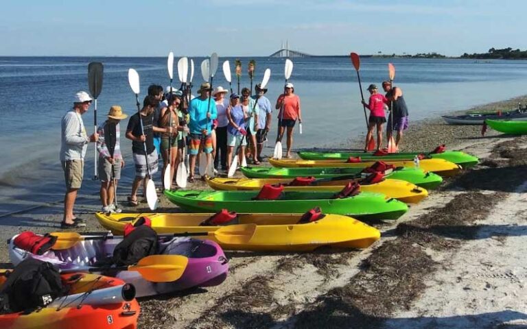 tour group prepping kayaks on beach with bridge in background at sharkeys glass bottom tours st pete beach